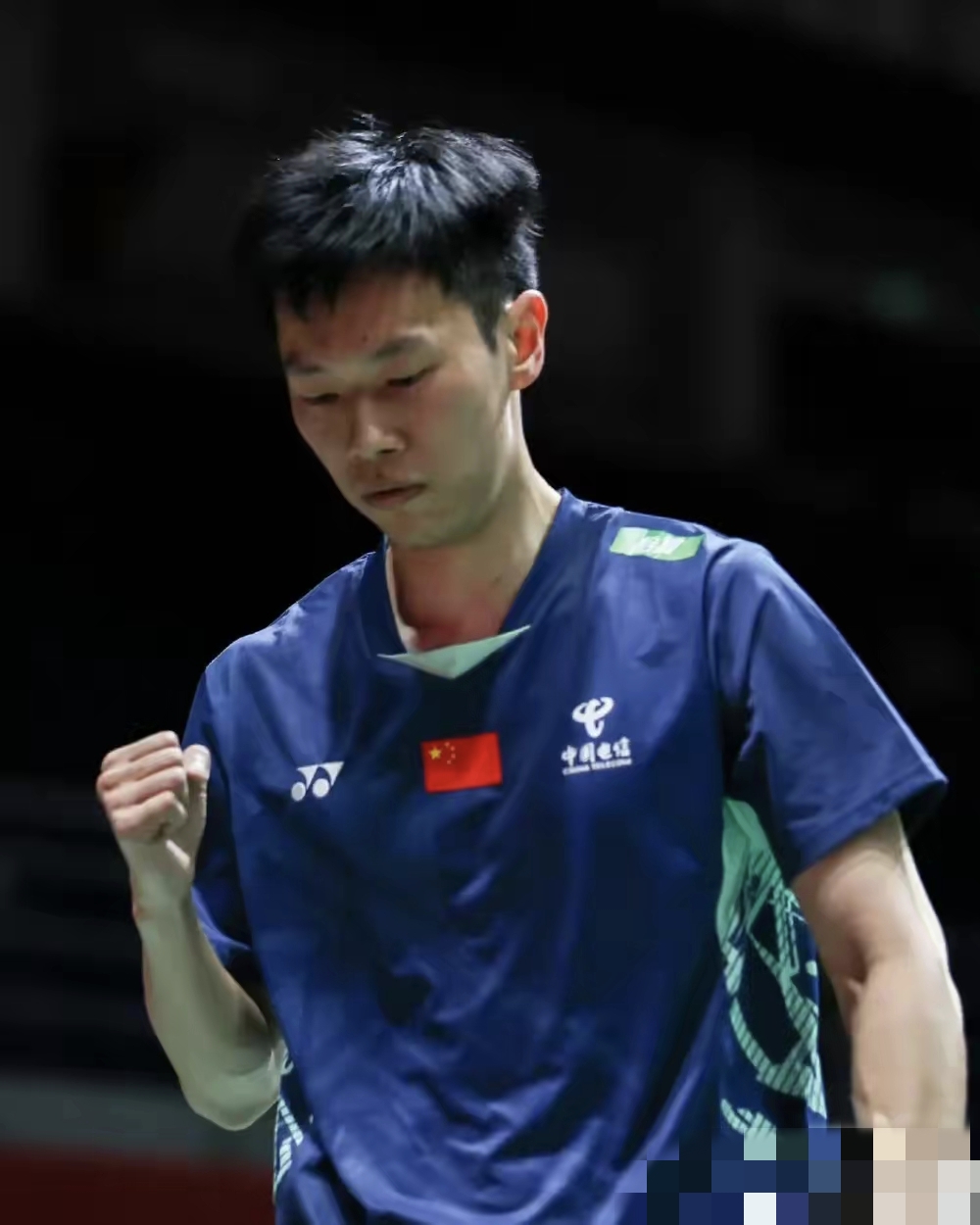 日本队轻取德国队,许昕统治全场 日本队轻取德国队,许昕统治全场