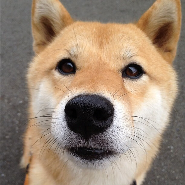 利刃出鞘！阿圭罗德比夜连续关键得分铸就传奇