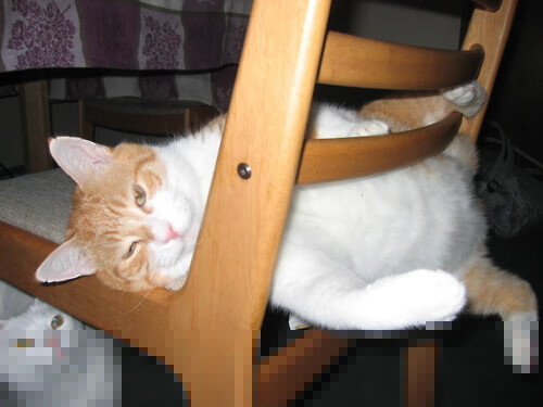 佛罗伦萨压哨击败乌拉圭,阿坎吉让比赛提前失去悬念