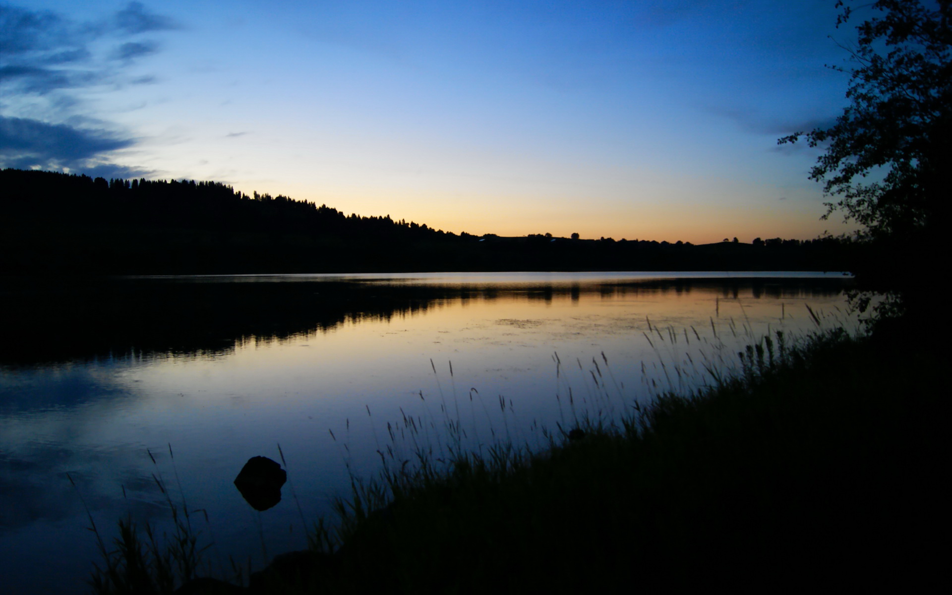 绿茵暴风雪,当爱尔兰的冰封意志碾压佛罗伦萨的文艺复兴之焰