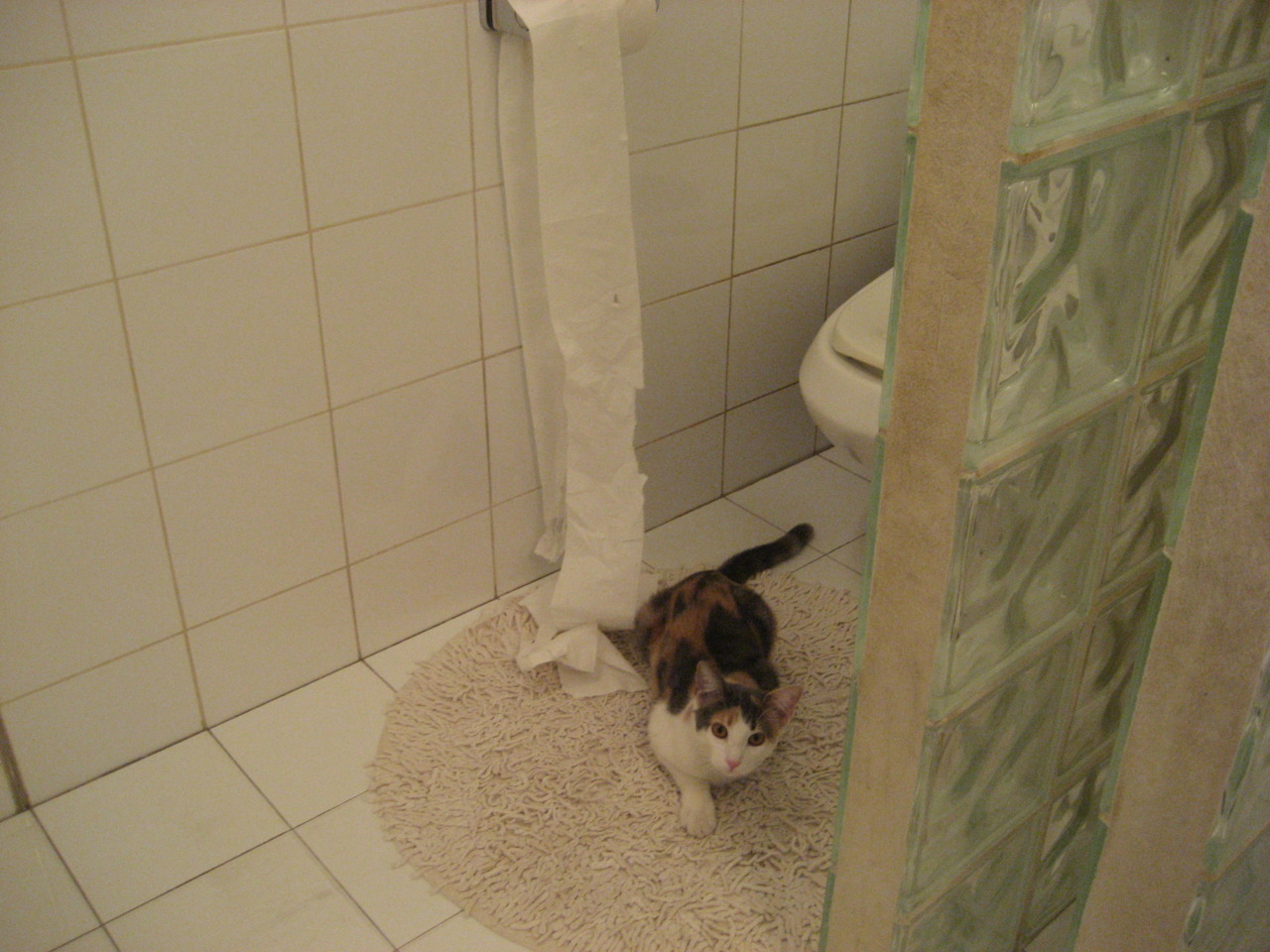 戈贝尔，用钢铁意志铸就大场面，爵士虽败犹荣