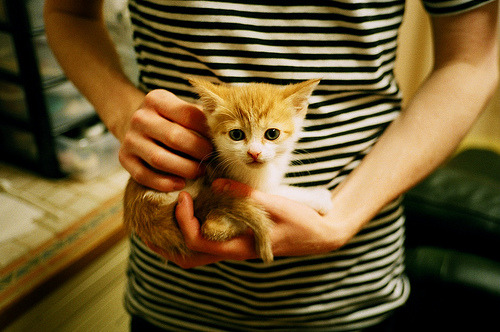 开云下载-钢枪诗人，萨内东决夜以沉默的枪火改写历史