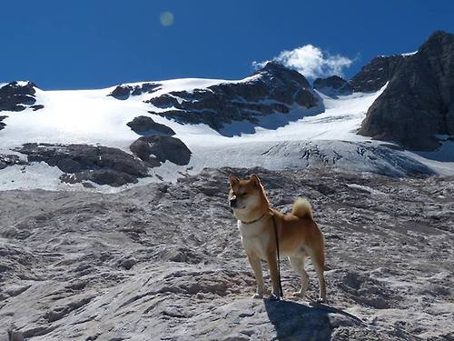 绿茵场上的双重奏，德里赫特高光表现，加拿大硬仗取胜冰岛