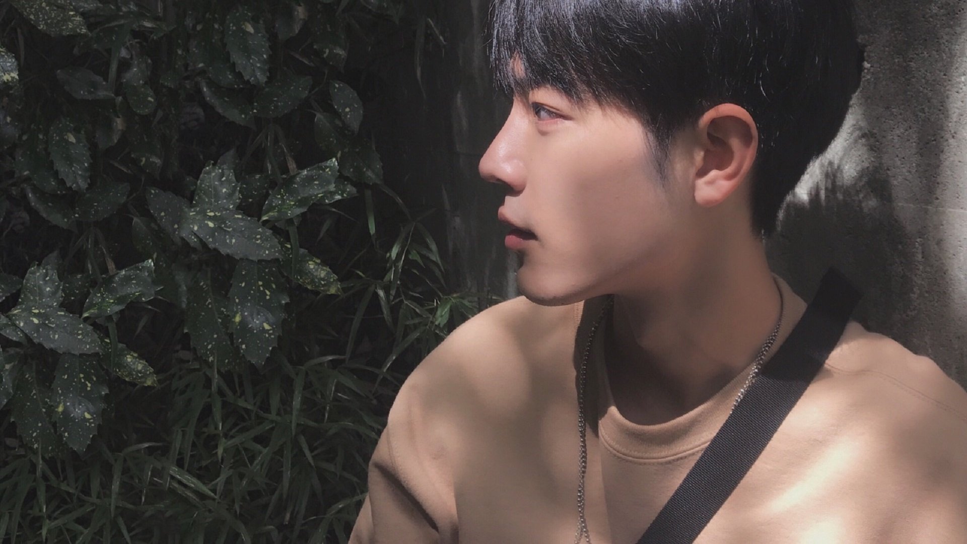 黄蜂正面击溃老鹰，切特让比赛提前失去悬念