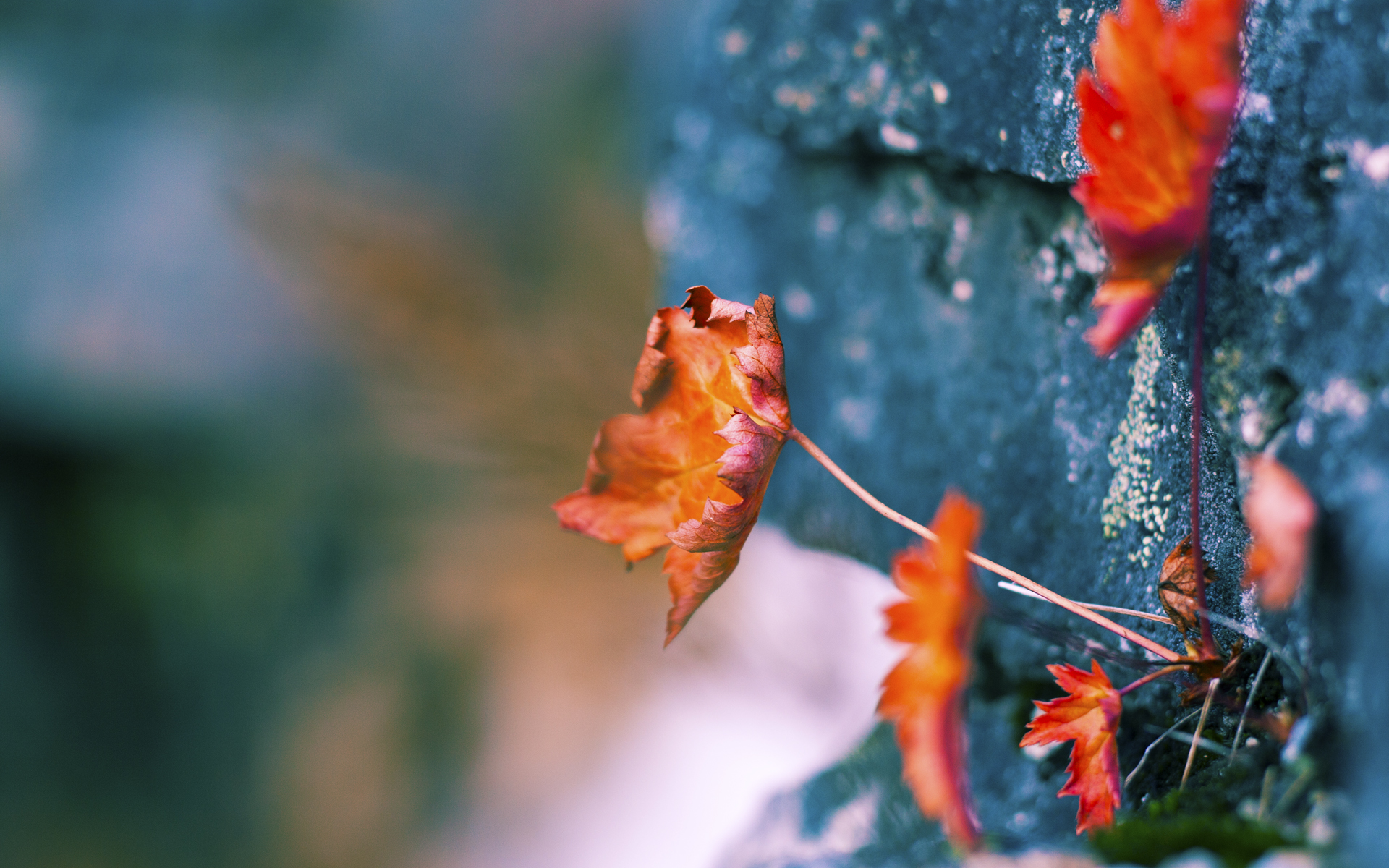 绿茵双响炮，德甲天王山颠覆王权，乌拉圭铁血终结皇马神话