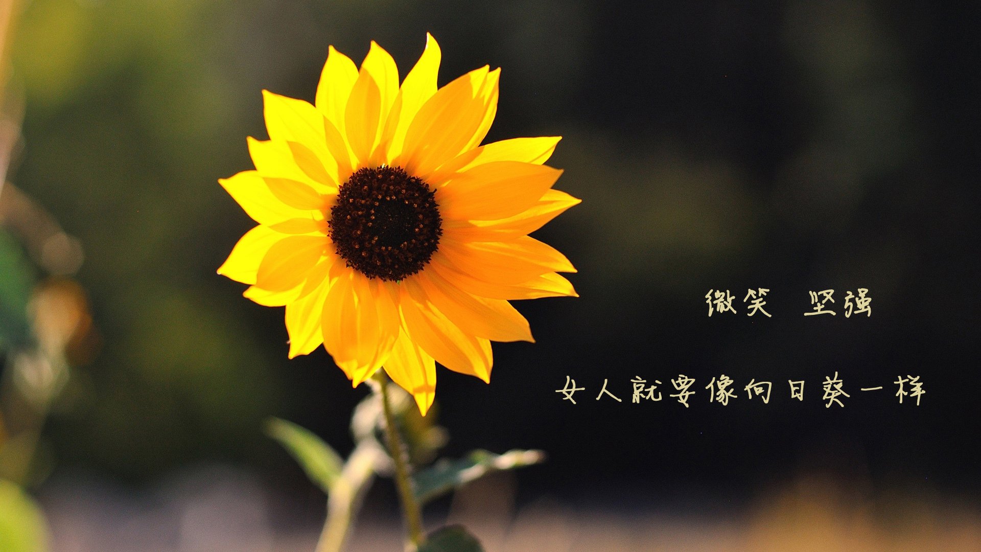 新疆队单节发力拉开山西队，詹姆斯关键时刻挺身而出