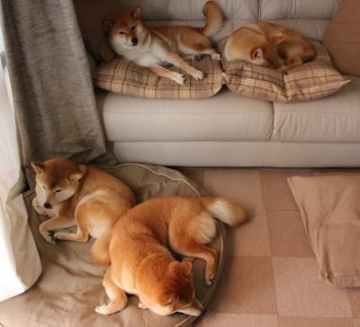 开云体育官网-辽宁队压哨绝杀凯尔特人创历史，约基奇状态火热再证MVP实力