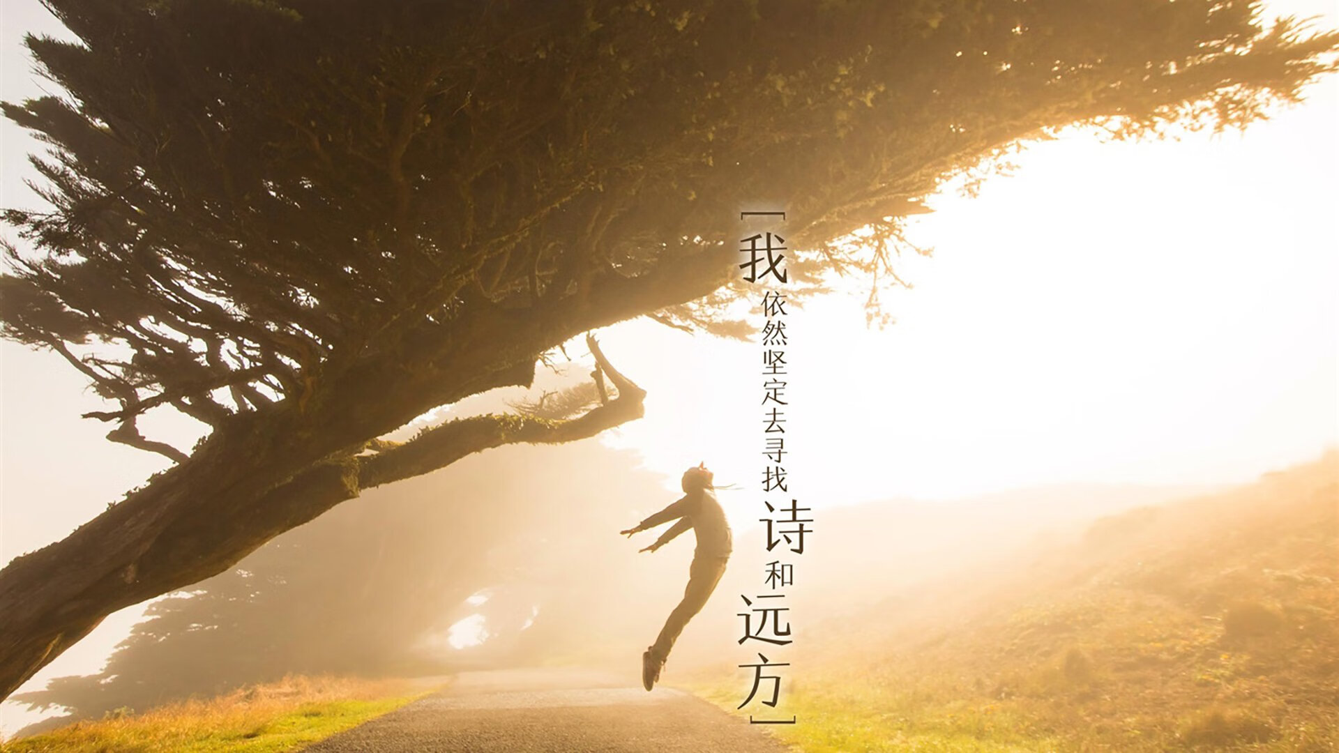 开云体育中国-莱万独造三球闪耀全场，波兰力克匈牙利迎来2026世界杯C组开门红